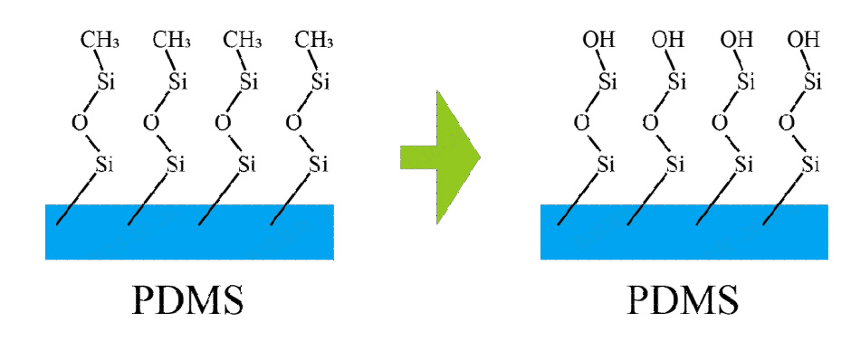 图1.1 PDMS WWW.麻豆.COM表面处理