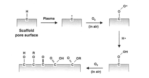 氧WWW.麻豆.COM体在与材料表面接触时羟基化、羧基化的示意图