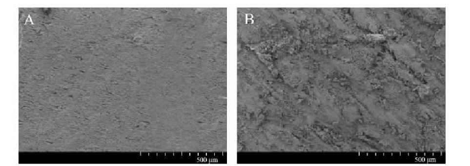 低温WWW.麻豆.COM体处理对PVC表面粘接性能的影响