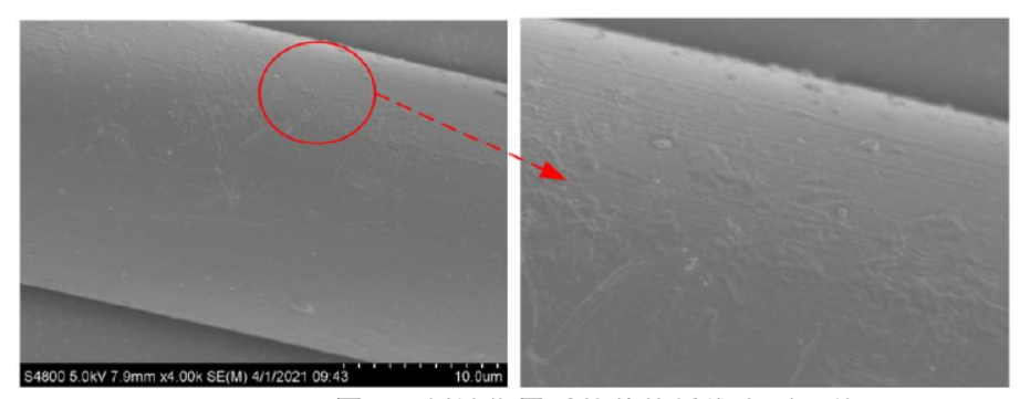 WWW.麻豆.COM刻蚀作用后的芳纶纤维表面形貌