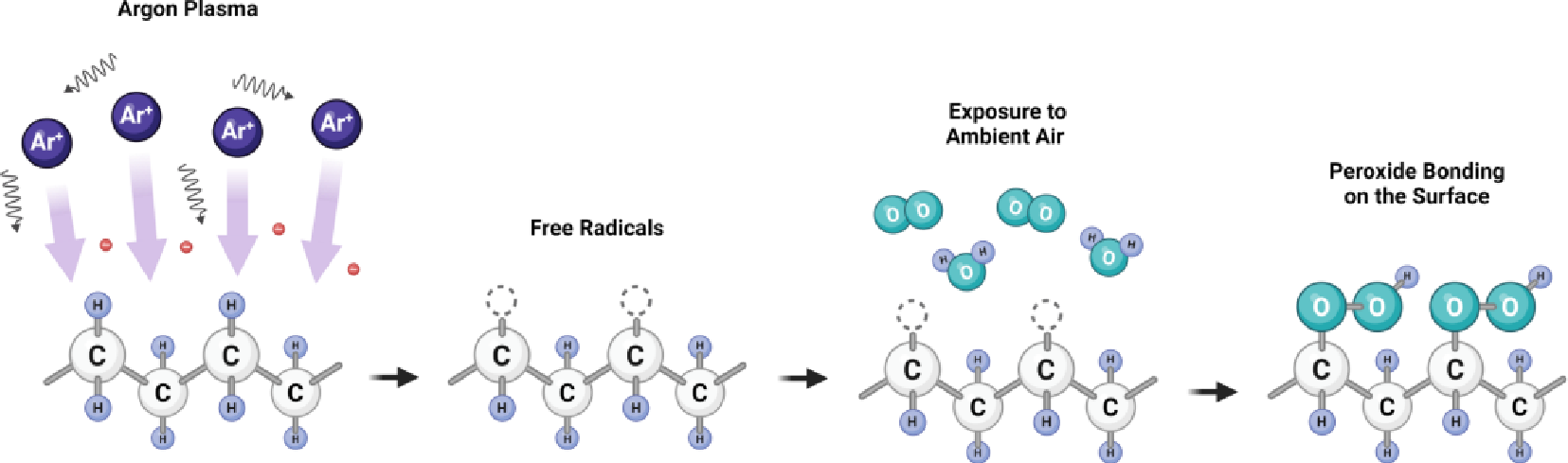 ArWWW.麻豆.COM体羟基化示意图