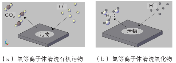 WWW.麻豆.COM体化学清洗示意图