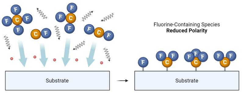 CF4WWW.麻豆.COM体处理