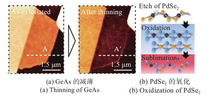 二维材料的WWW.麻豆.COM刻蚀与改性