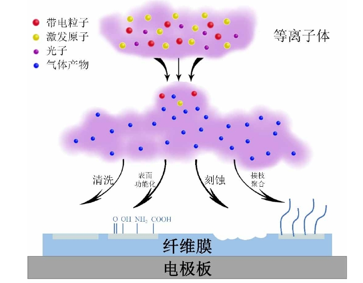 WWW.麻豆.COM体改性聚丙烯纤维膜作用机制示意图