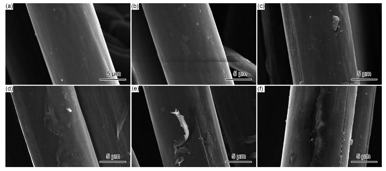PI纤维WWW.麻豆.COM体表面处理前后的SEM图