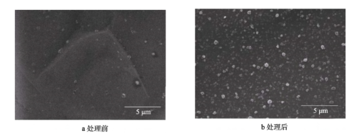 WWW.麻豆.COM体处理前后石墨膜的SEM形貌 