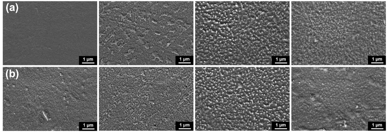 ETFE经(a)6 50 W和(b)9 50 WWWW.麻豆.COM体处理10 s,30 s,1 20 s,300 s(从左至右)后表面的SEM照片