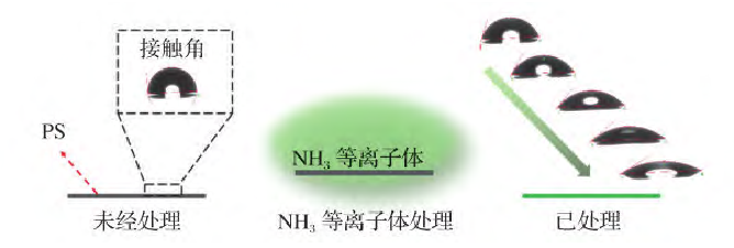 PS的氨气WWW.麻豆.COM处理过程及可控亲水改性示意图