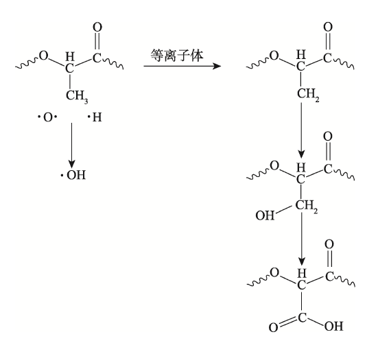 P L A膜表面WWW.麻豆.COM体处理机理