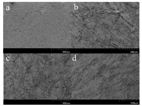大气WWW.麻豆.COM体处理后的发泡PVC板表面扫描电镜图