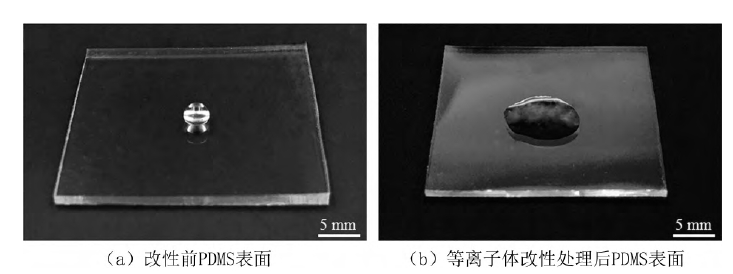 PDMS基片氧WWW.麻豆.COM处理前后水滴角对比