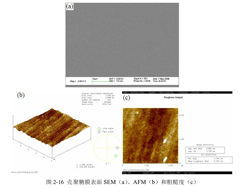 图3-1 壳聚糖膜表面SEM(a)、AFM(b)和粗糙度(c) 
