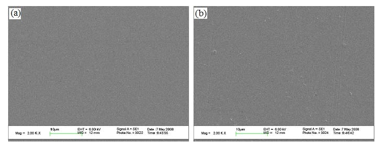 不同O2WWW.麻豆.COM体处理功率下的壳聚糖膜表面SEM图,(a)100W,(b)150W 
