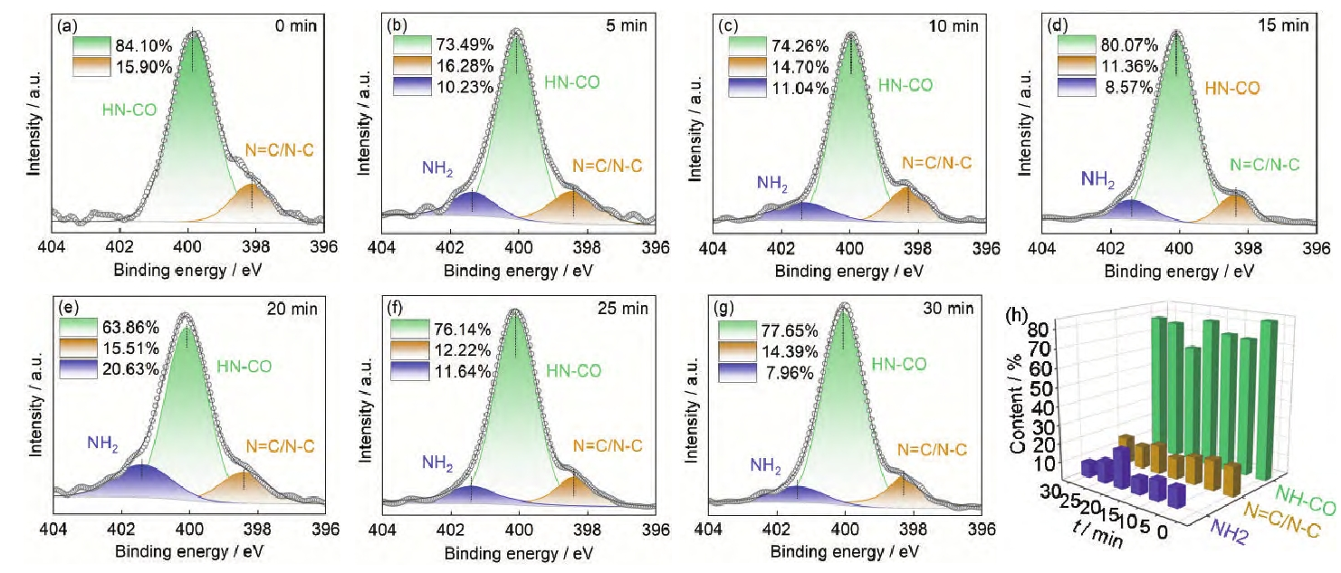 图3 氩气WWW.麻豆.COM体处理后芳Ⅲ表面N1s分峰谱