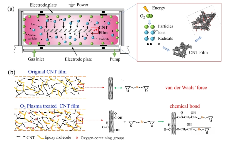 图 1(a)氧WWW.麻豆.COM体改性CNTs薄膜机理示意图,(b)含氧基团增强CNTs和树脂间界面结合 机制原理图 