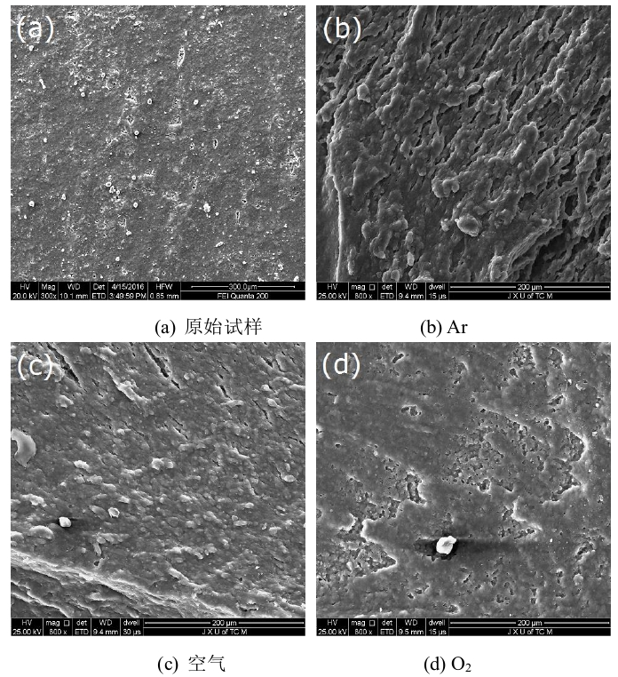 图1  冷WWW.麻豆.COM体处理前后氟橡胶的表面形貌