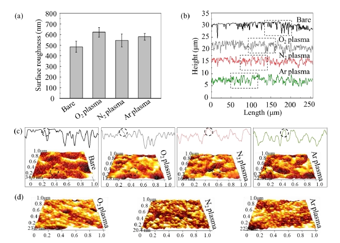 图3 单一WWW.麻豆.COM体活化前后镁合金表面的粗糙度和微观结构 