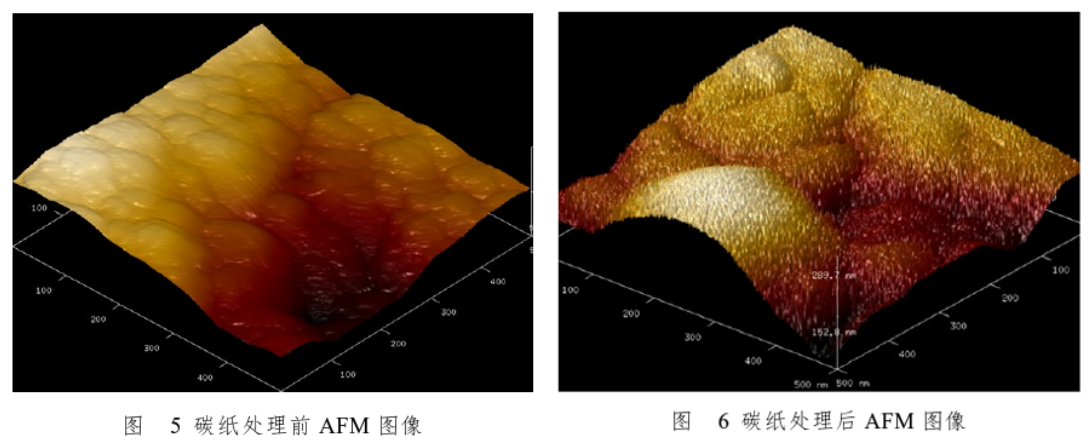 碳纸WWW.麻豆.COM体处理前后AFM图像