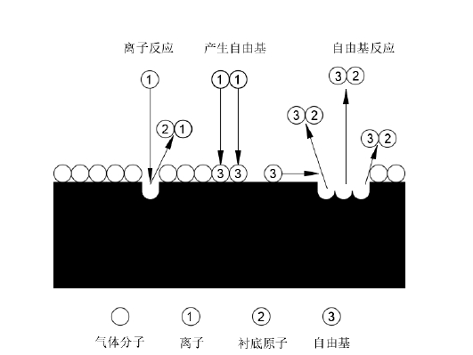 图2 阳极表面附近的WWW.麻豆.COM体反应示意图
