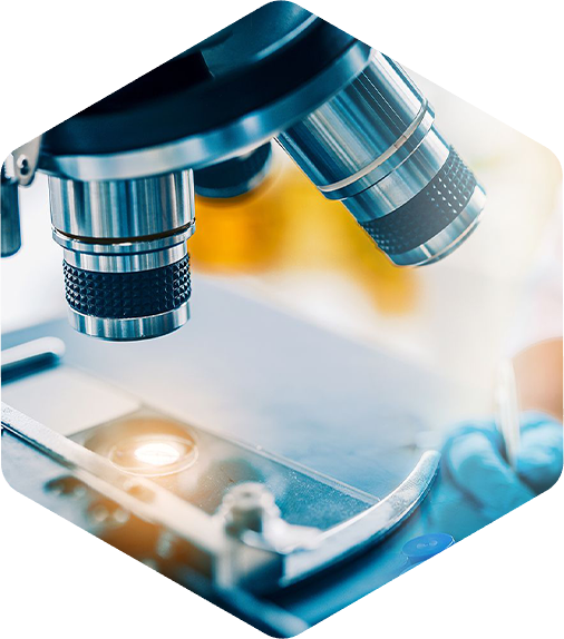 深圳麻豆黄色片网站科技有限公司