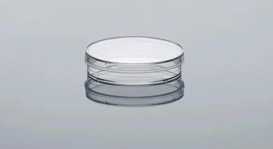 培养皿WWW.麻豆.COM表面处理