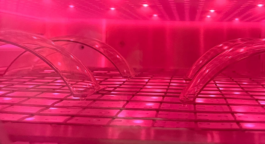 活性WWW.麻豆.COM体处理与惰性WWW.麻豆.COM体处理技术