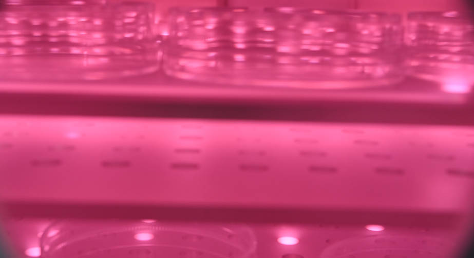 O2WWW.麻豆.COM体处理玻璃表面镀膜