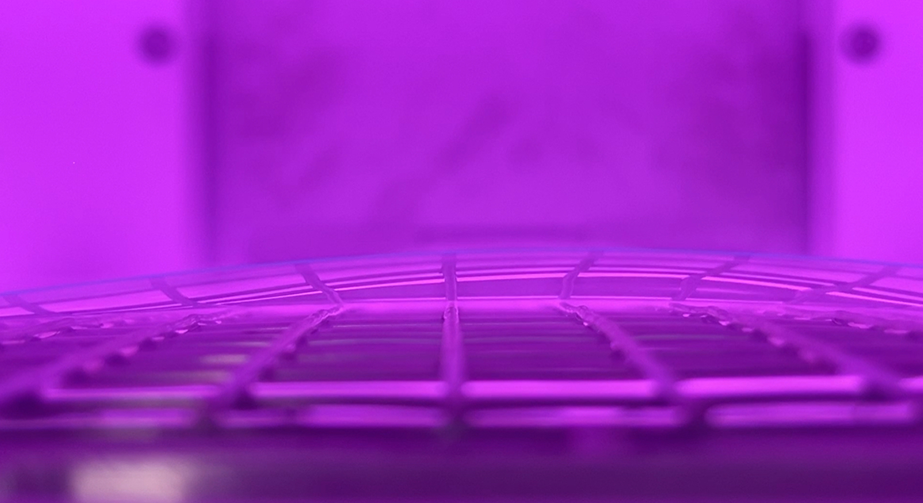 如何选择真空WWW.麻豆.COM清洗机的气体流量控制器？