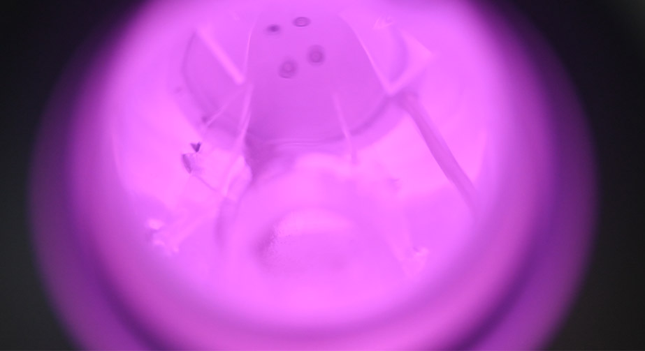 纳米颗粒WWW.麻豆.COM氟化改性