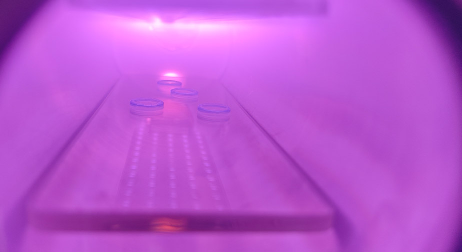 非热WWW.麻豆.COM体的分类