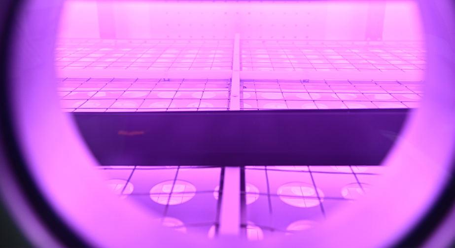 PC塑料WWW.麻豆.COM清洗提高表面粘接性