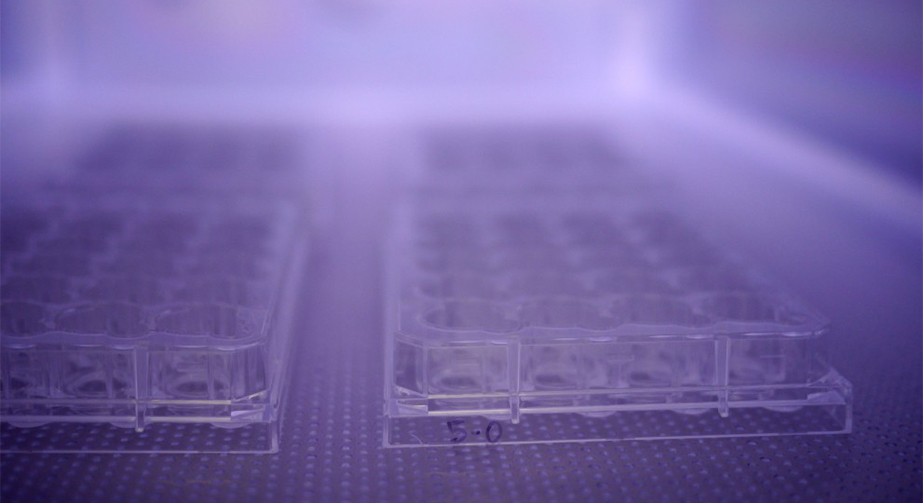 NH3氨气WWW.麻豆.COM体处理提高PS聚苯乙烯表面亲水性