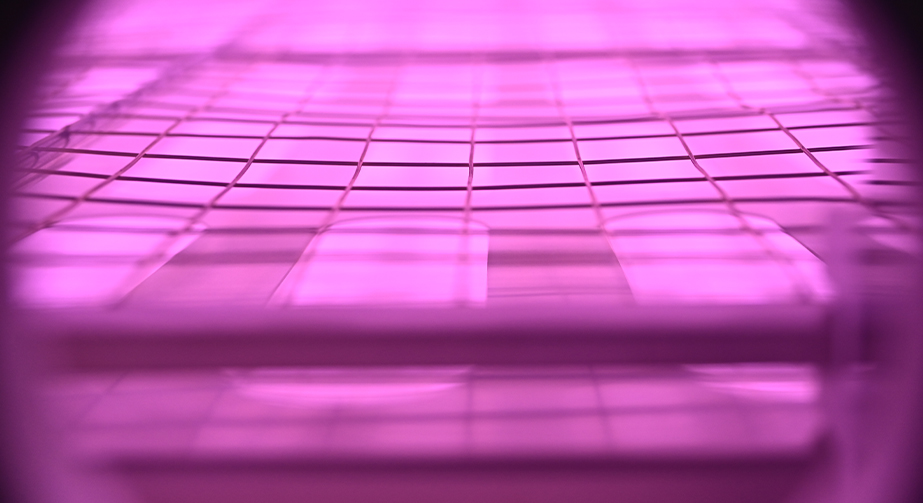 石墨烯WWW.麻豆.COM体处理提高分散性能